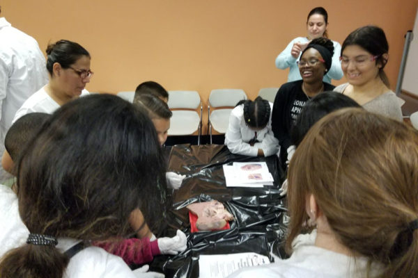 1-27-18-science-in-the-city-dissections-workshop-at-miami-lakes-library-14 Exploring Parallels Between Animal and Human Anatomy STEM Workshop at Miami Lakes Library